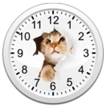 cats analog-clocks widget android application logo